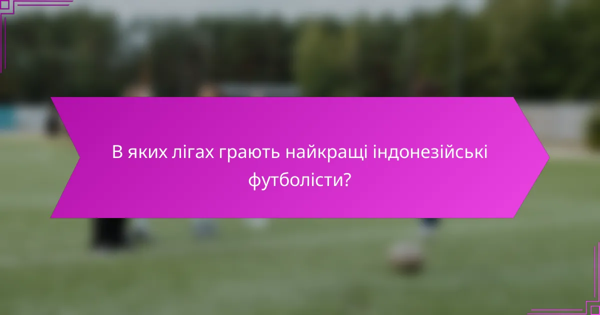 В яких лігах грають найкращі індонезійські футболісти?
